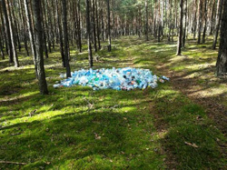 plastik w lesie